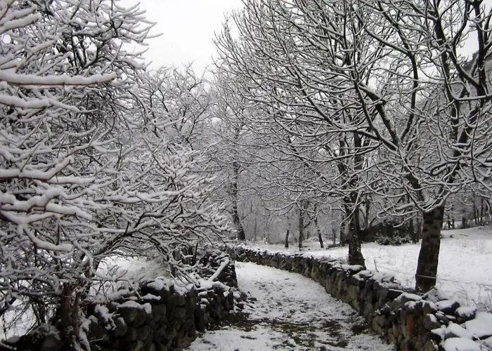 Pensio La CreuHostal